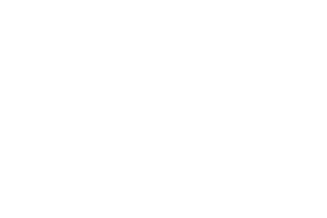 Cybernauts LLC Logo
